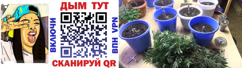 купить наркотик  Верещагино  Бошки марихуана индика 